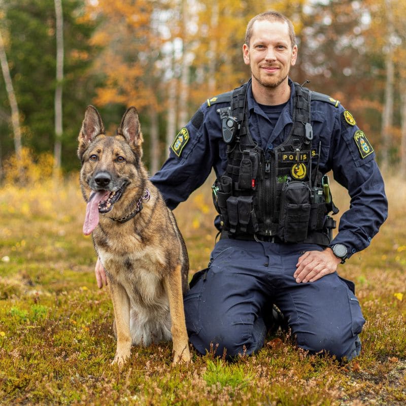 Förvandla din hunds skällande och beteende – snabbt, enkelt och på ett skonsamt sätt!